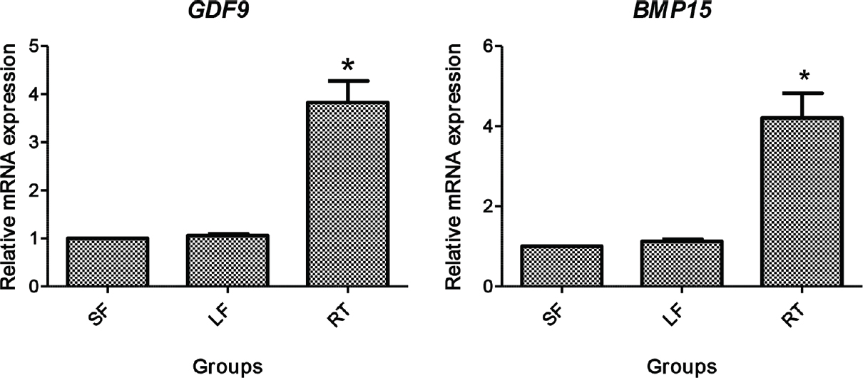 Relative gene expression of GDF9 and BMP15 in denuded oocytes. SF, small follicle derived; LF, large follicle derived; RT, roscovitine treated. *P<0.05 compared to SF and LF.